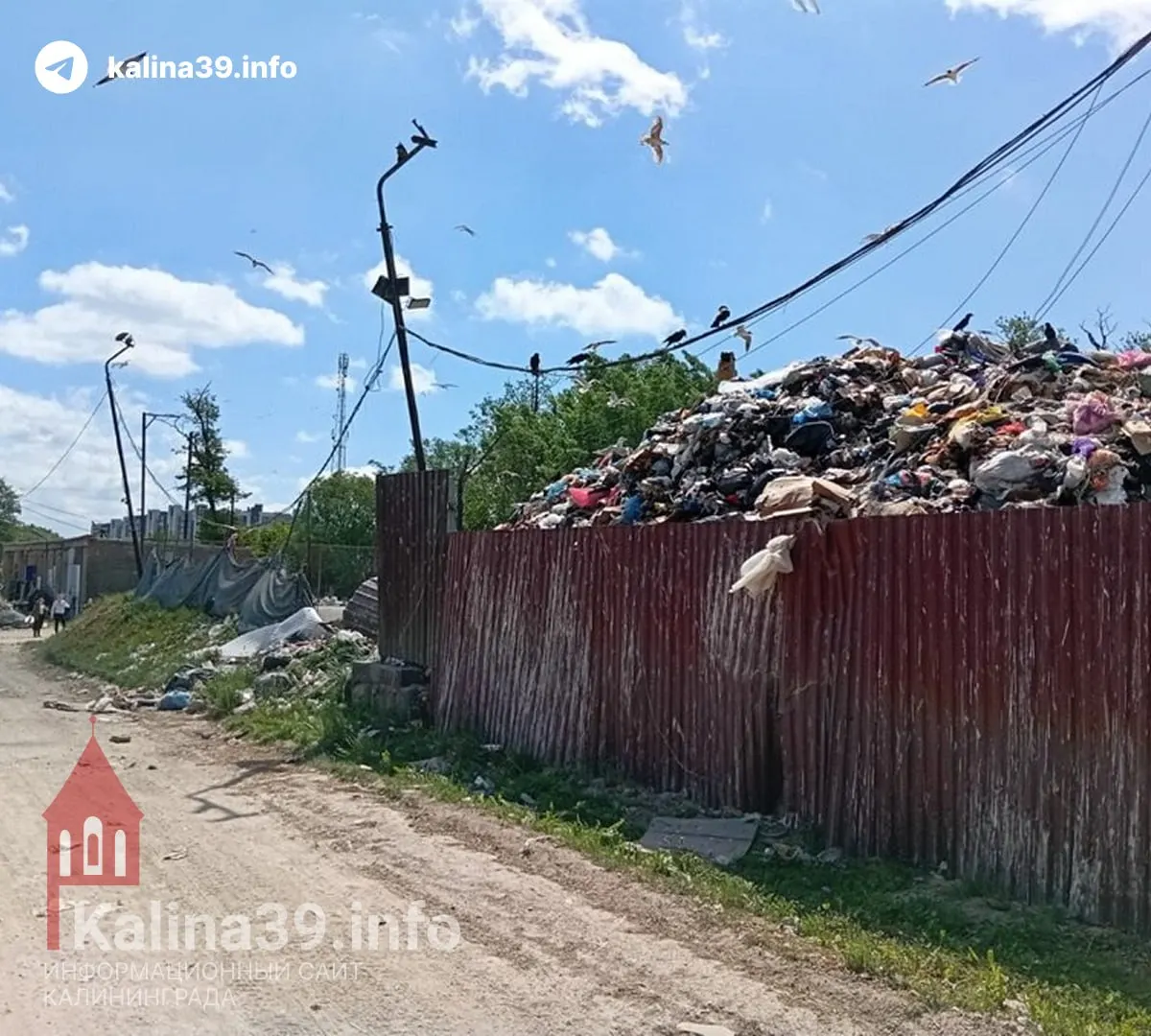 Жители улицы Краснокаменной жалуются на экологическую катастрофу: отходы гниют на открытом воздухе, попадают дожди в почву и пруды, люди страдают от запахов, птиц и крыс. Прокуратура зафиксировала нарушения, жители требуют убрать мусорную станцию из квартала.