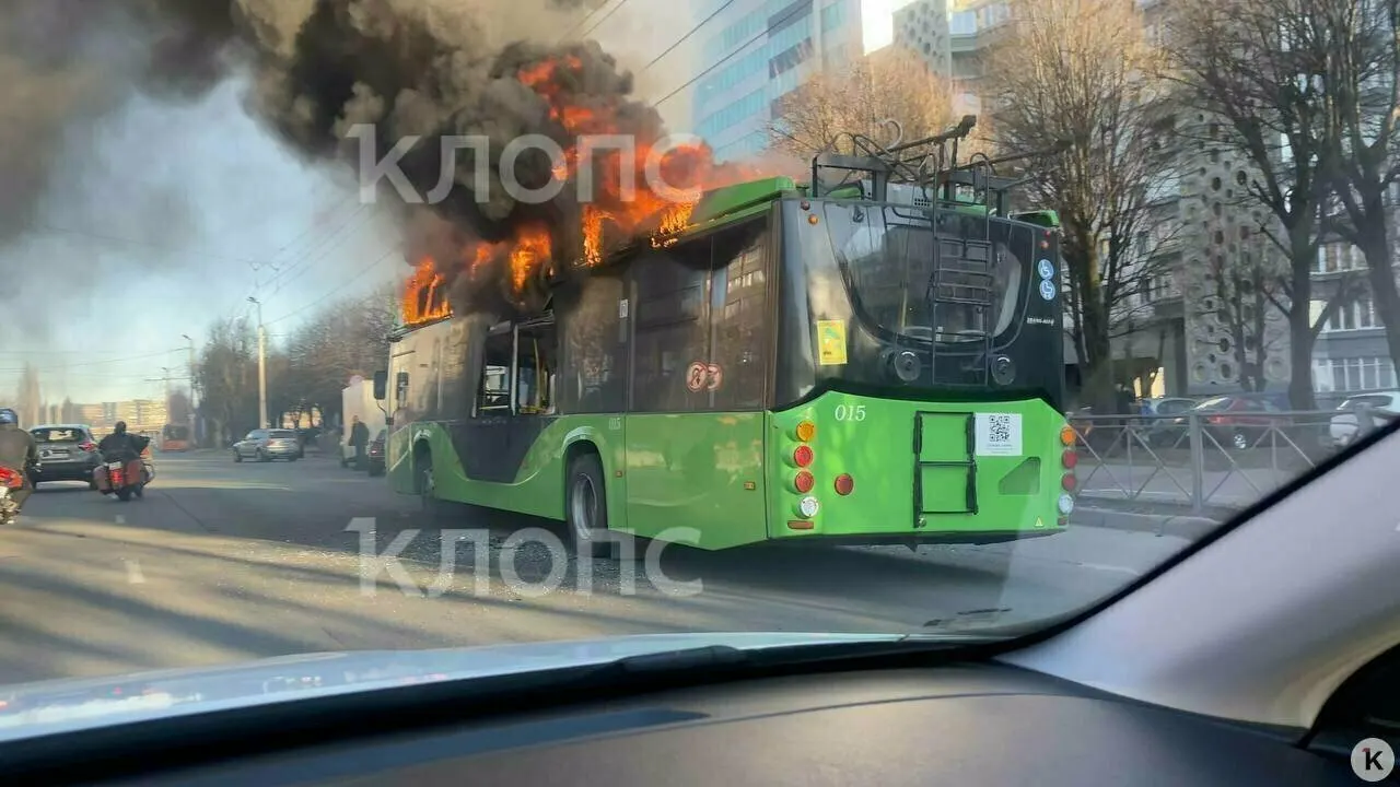 После пожара в Калининграде и последующих проверок выявлены нарушения в троллейбусах, включая проблемы с батареей и дверями. Возобновление движения возможно после устранения замечаний.