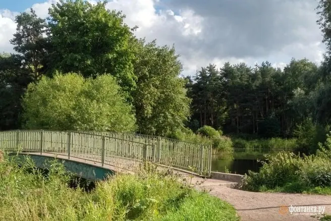 Городские власти заявили, что планового демонтажа мостов нет. Объявления относятся к процедуре выявления бесхозяйного имущества; после её завершения мосты могут быть приняты на баланс города.