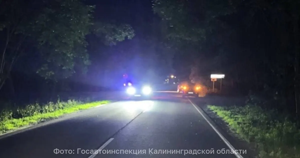 31 июля на 39 км автодороги Калининград — Балтийск автомобиль наехал на женщину, переходившую дорогу вне пешеходного перехода. Пострадавшую госпитализировали, обстоятельства ДТП выясняет Госавтоинспекция.