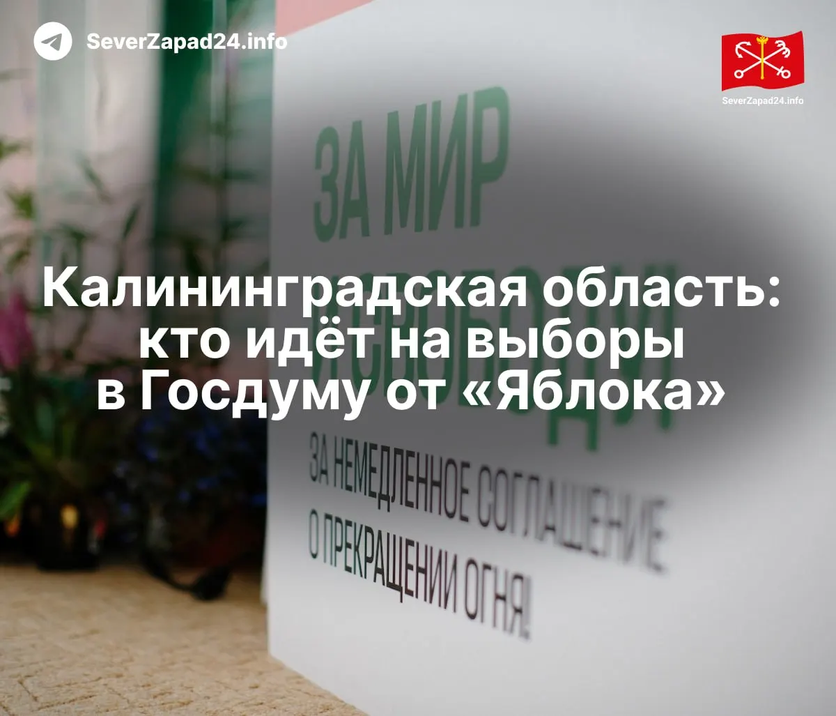 Партия «Яблоко» опубликовала полный список кандидатов на выборы в Госдуму: федеральный список, региональные группы и одномандатные округа. Кто выдвигается в Калининградской области?