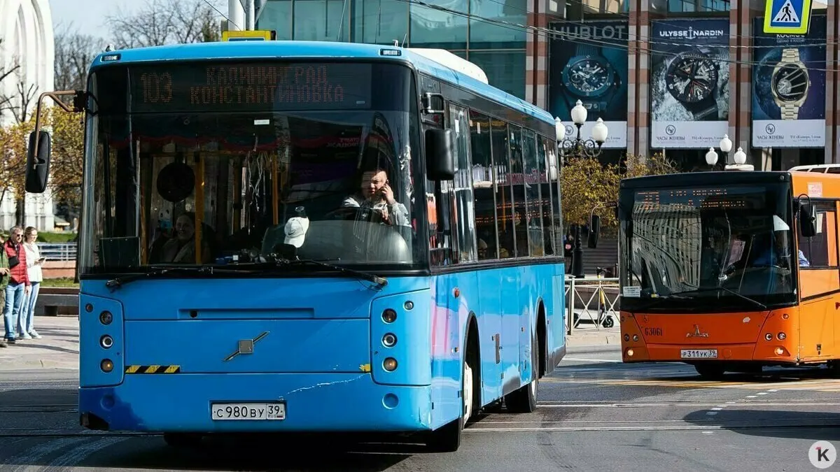 С 5 по 13 августа на участке маршрута №145 будут ремонтировать водопропускные трубы под Центральной улицей в посёлке Матросово через реку Крайнюю. На время работ автобус №145 поедет через Гурьевск со всеми остановками, но только до посёлка Некрасово. В обратном направлении — до Матросово, затем по обычному маршруту в Калининград. Для доступа к Привольному и Храброво используйте автобус №116.