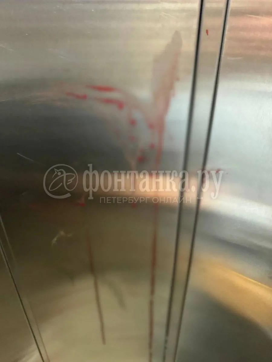 Хозяин выбросил собаку из окна, соседи задержали мужчину до приезда полиции.