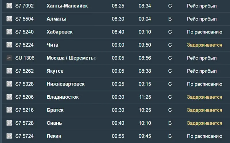Утром 18 августа в Новосибирск задержаны 14 рейсов; прибытия из Санкт‑Петербурга, Читы, Владивостока, Москвы и других городов отложены. Задержки достигают до 11,5 часов.