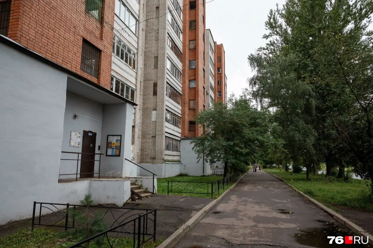 Следственные органы возбудили уголовное дело об истязании ребенка; опека временно изъяла дочь, соседи утверждают, что обращения в полицию и органы опеки поступали неоднократно.