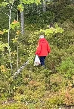 На доске объявлений предлагают купить перечень точек сбора грибов и ягод в окрестностях Петрозаводска с координатами и фото урожая.