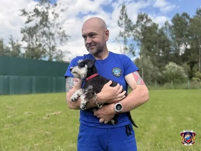 Маленький цвергшнауцер по кличке Гайка стала частью спасательного отряда в Ленинградской области и осваивает поиск людей в лесу и на завалах.