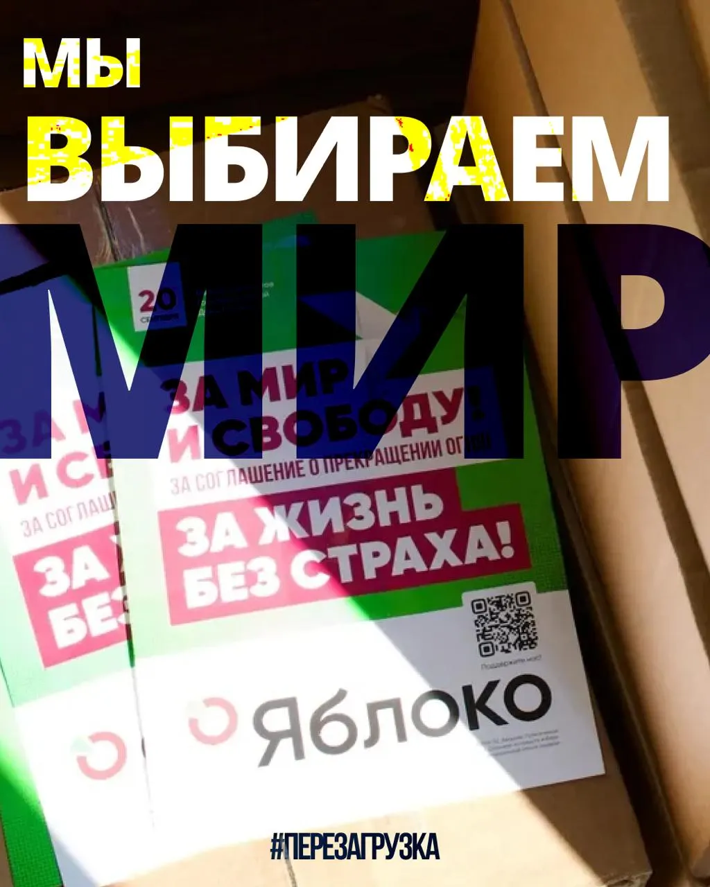 В 53 регионах проходят кампании 135 кандидатов от партии; картина поддержки растёт, а суд рассматривает апелляцию по списку.