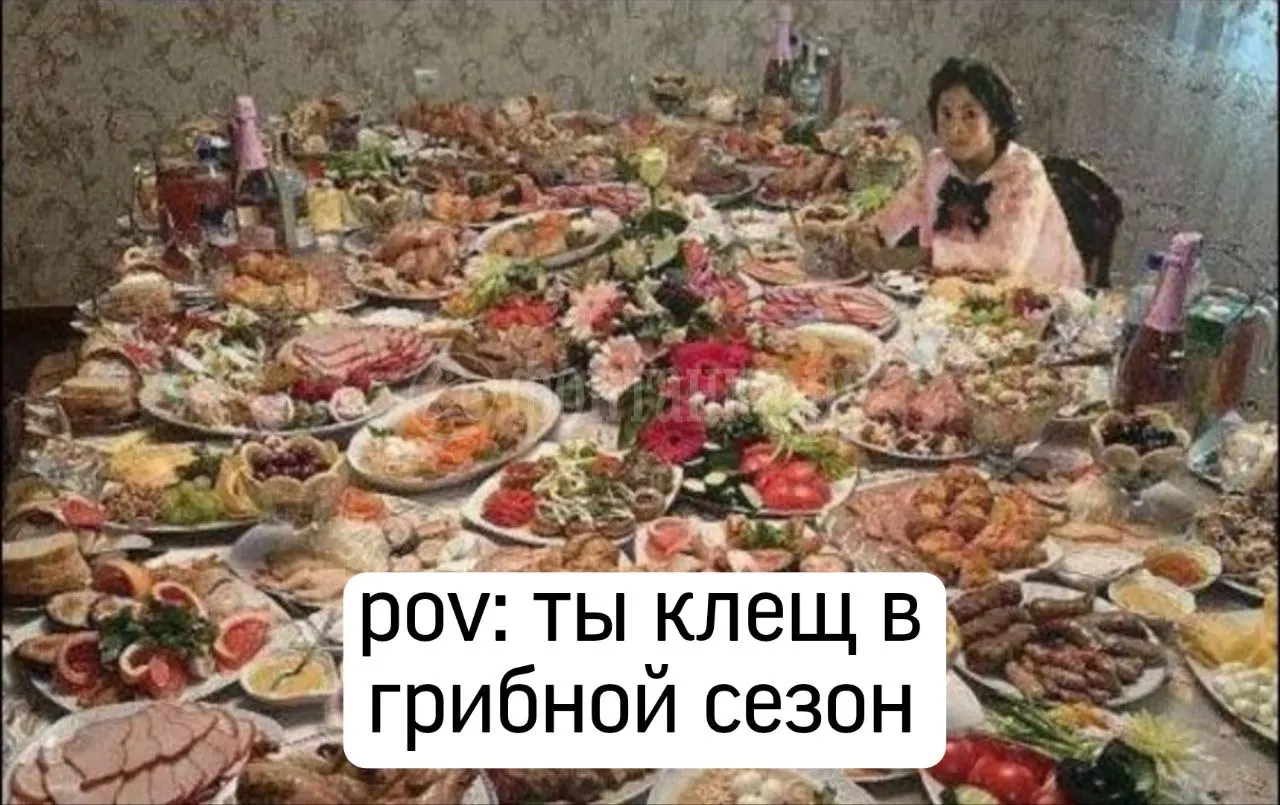 1292 укуса клещей за последнюю неделю в регионе; лидируют Ленинградская область и Санкт-Петербург, имеются случаи завоза из-за границы.