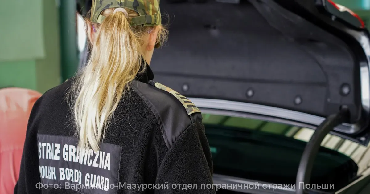 На пункте пропуска Мамоново-2 — Гжехотки задержан немец с поддельными правами; заплатил штраф и получил разрешение на въезд в Калининградскую область.