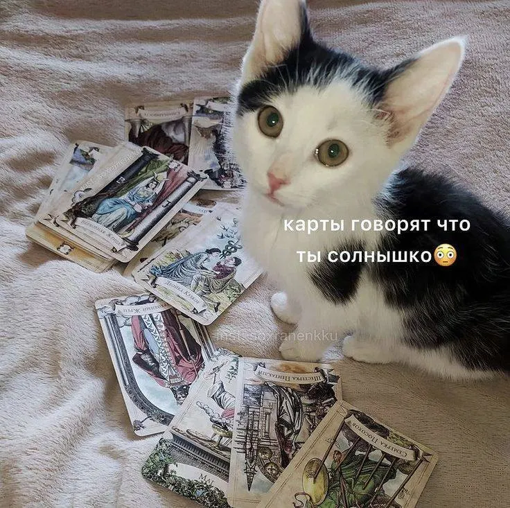 Правообладатель требовал компенсацию за продажу колоды, воспроизводящей 78 изображений таро Райдера‑Уэйта, однако суд принял во внимание, что оригинал 1909 года находится в открытом доступе и не установил охрану производного произведения.