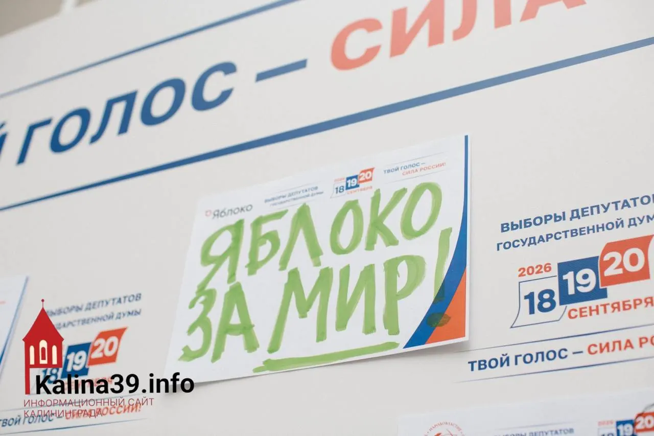 По итогам жеребьевки областной избирком региональный список партии получил третий номер. Партия остаётся в бюллетенях Калининградской области; за список можно будет проголосовать по всей области. Также сохраняются кандидаты по округам №2 и №6, а кандидат на Госдуму продолжает участие по одномандатному округу №100.