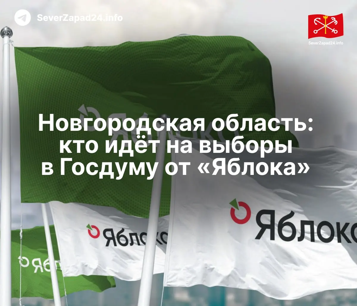Партия «Яблоко» обнародовала полный список кандидатов в Госдуму — по федеральному списку, региональным группам и одномандатным округам, с упором на Новгородскую область.