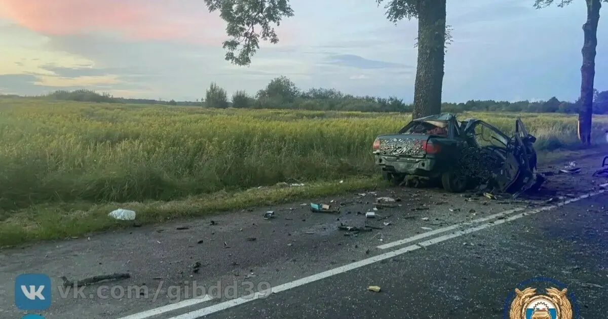 В Черняховском районе 22-летний водитель погиб в результате ДТП: машина врезалась в дерево. Инцидент произошёл в последний день августа.
