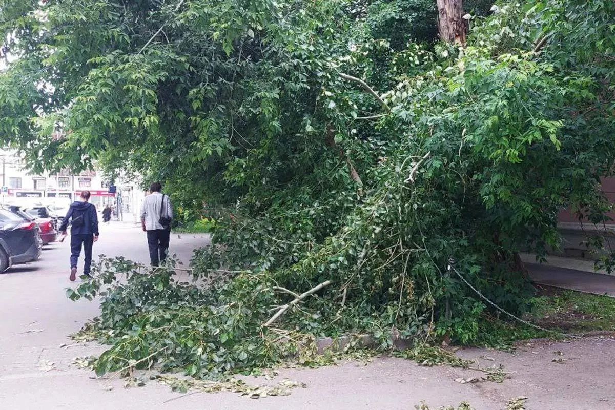 В Новгородской и Калининградской областях восстановлено основное электроснабжение; в Псковской области продолжаются работы с участием 128 бригад и 129 единиц техники.