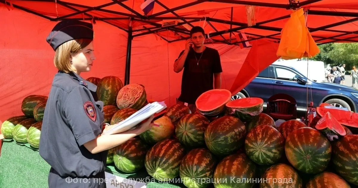 Рейд выявил незаконные торговые точки с арбузами и фруктами; власти намерены усилить контроль за городской торговлей.