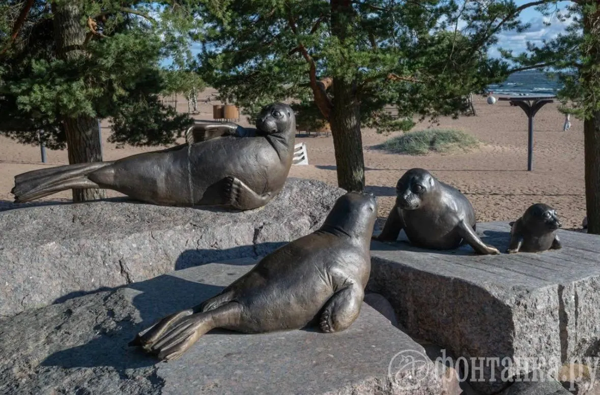 После обновления в Курортном районе Санкт-Петербурга самыми дорогими стали пляжи «Ласковый», «Чудный» и «Новый» — на благоустройство потрачено свыше 400 млн рублей. Посмотрите, какие изменения произошли.