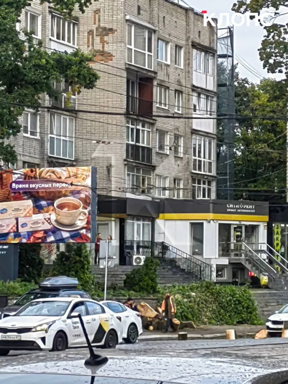 На проспекте Мира в Калининграде спилили гигантское дерево; рядом остаются два крупных дерева, местные жители волнуются за их судьбу. Причины вырубки пока не поясняют.