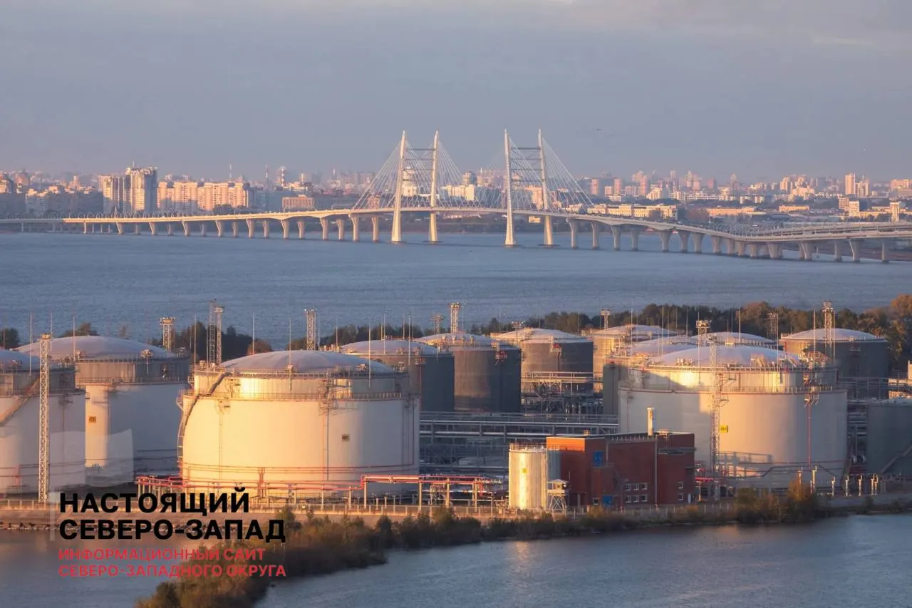 Совладелица Петербургского нефтяного терминала оспаривает продажу 55% акций «Росхима» государству; совет директоров возглавляет Игорь Ротенберг. В 2025 году государство добилось передачи контрольного пакета, а в 2026 году пакет был продан.