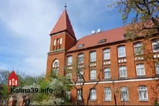 В Калининграде разрешили вырубку 33 деревьев и 11 кустарников на пересечении улиц Шиллера и Ермака. Подрядчик заплатит свыше двух миллионов рублей и обязан высадить взамен 29 деревьев и 22 кустарника.