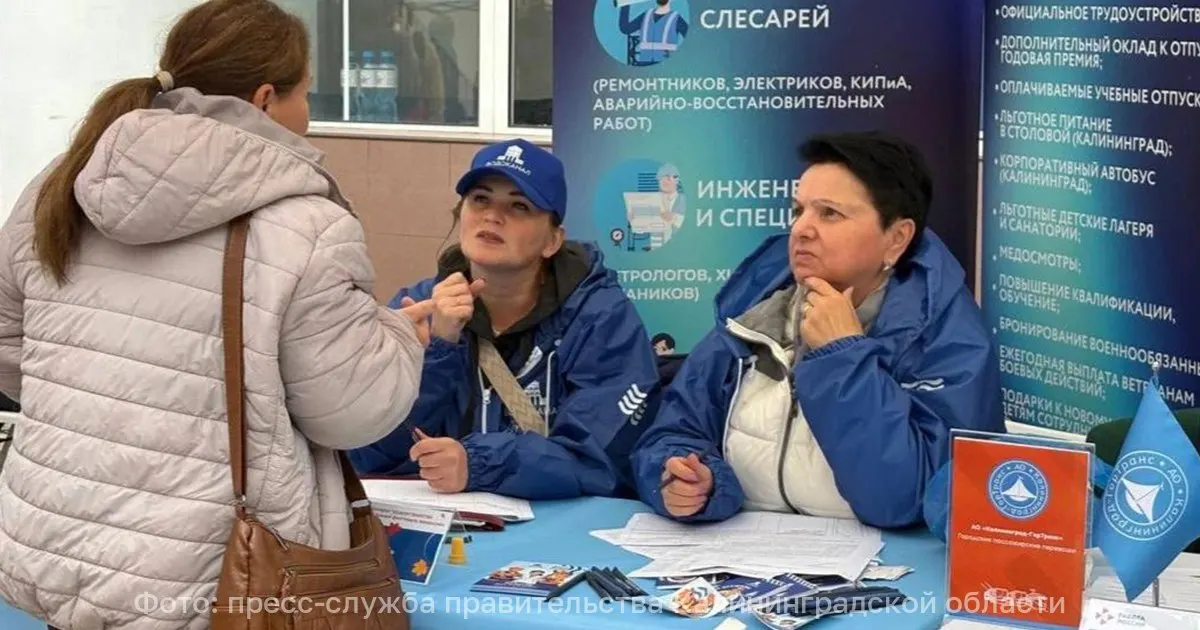 На ярмарке в Черняховске приняли участие свыше 800 человек; работодатели презентовали около 700 вакансий, включая квоты для инвалидов и лиц с ограничениями здоровья.