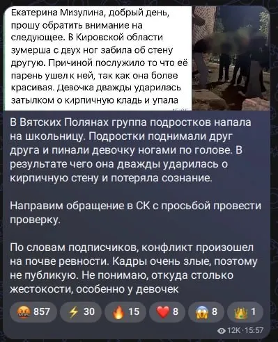 Глава Лиги безопасного интернета заявила о намерении обратиться в Следственный комитет с просьбой проверить произошедшее.