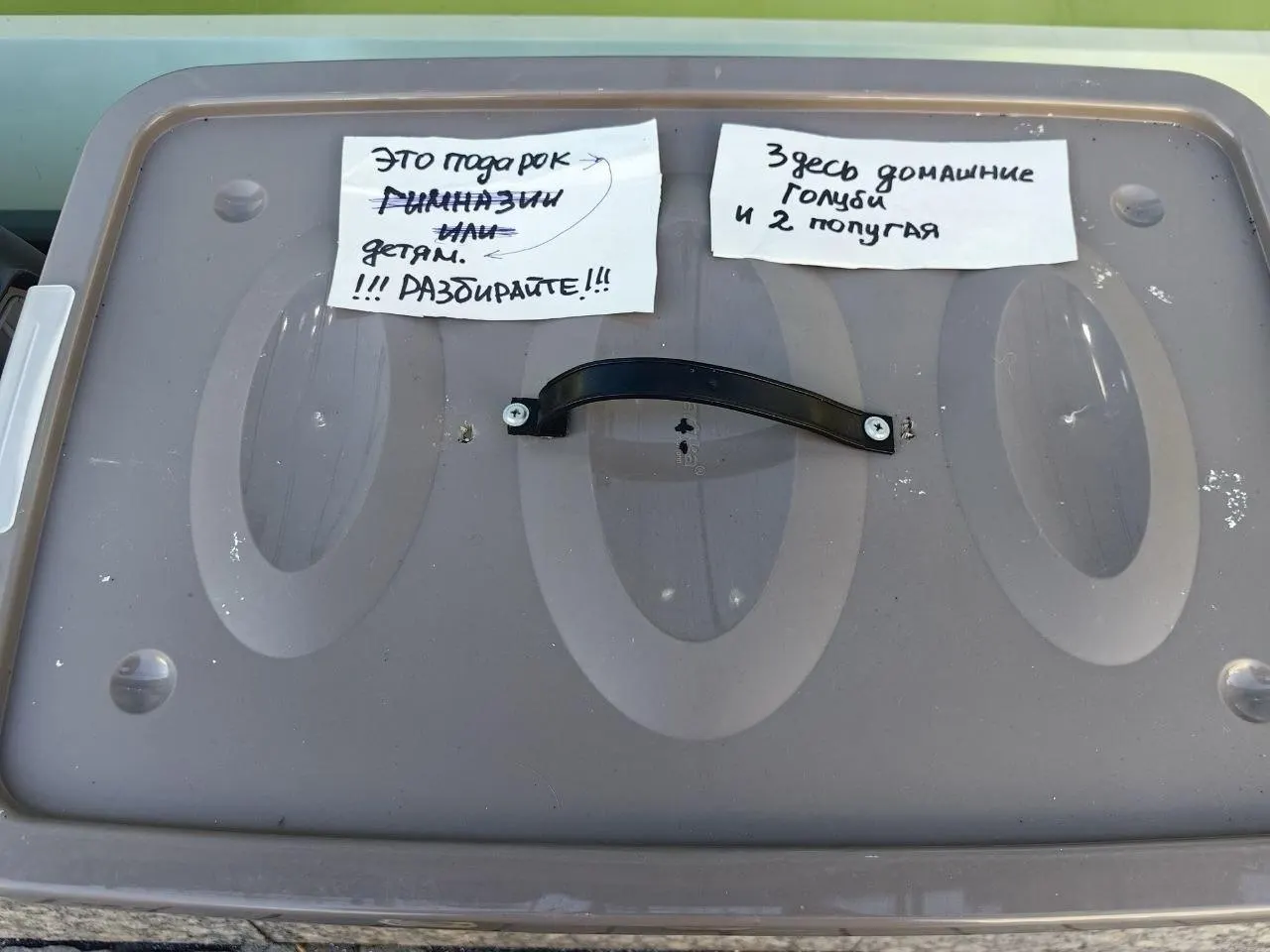 Контейнер с надписью «Подарок детям. Забирайте» найден у торгового центра Санкт‑Петербурга; выжили только два голубя, расследование начато.