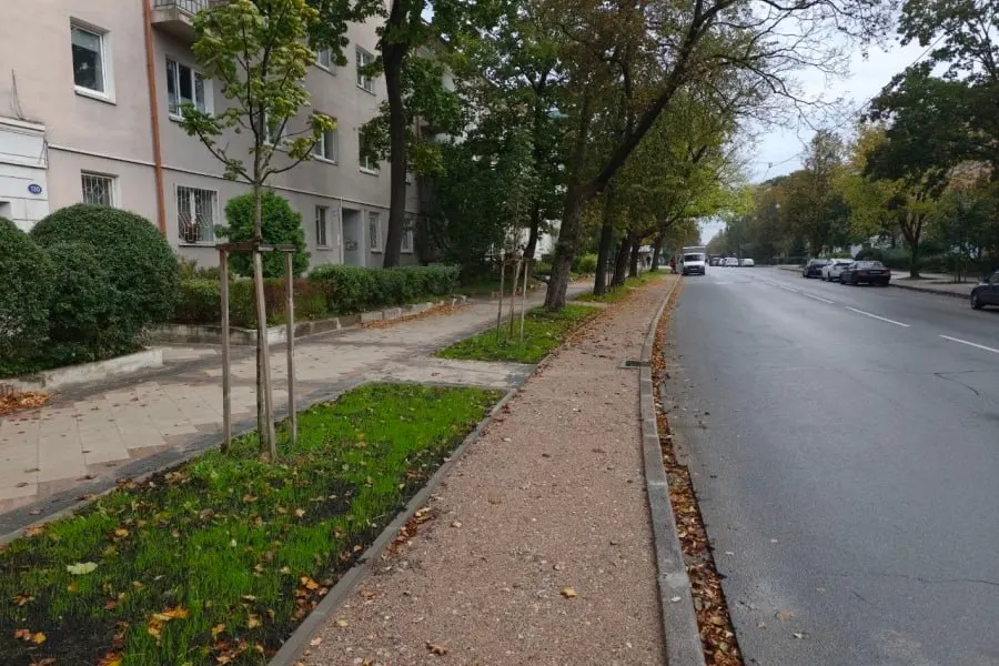 В Калининграде обновляют последнюю довоенную велодорожку на улице Карла Маркса, превращая часть парковочного пространства в велосипедные полосы.