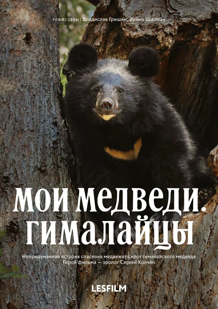 В программе фестиваля — международная подборка экологических фильмов и бесплатные показы в Москве и Санкт-Петербурге.