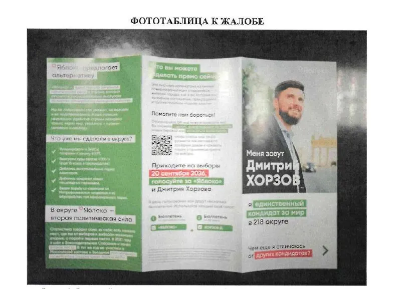 Жалоба на агитационный буклет перенаправлена в прокуратуру и Следственный комитет; ТИК не приняла решение по спорному лозунгу и передала дело компетентным органам.