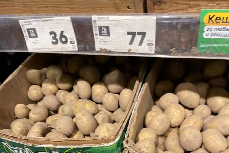 Снижение цен на сезонные овощи привело к снижению стоимости продуктовой корзины во всех трёх сетях; картофель стал доступнее примерно вдвое.