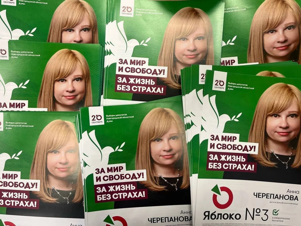 Партия заявила о давлении на кандидатку Анну Черепанову и ускорении процедуры снятия с выборов после штрафа за демонстрацию экстремистской символики.
