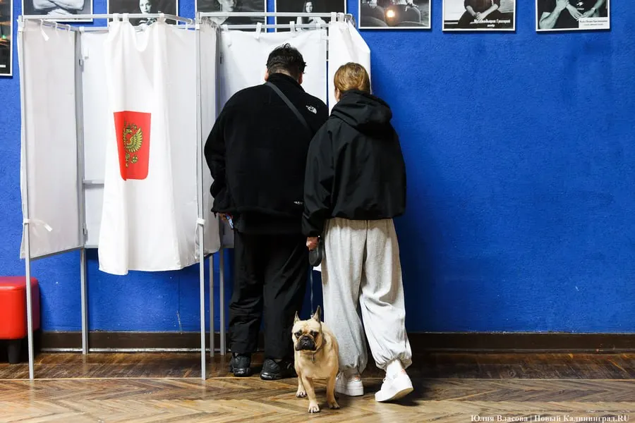 Подсчет голосов по выборам в Горсовет Калининграда продолжается; по данным облизбиркома, обработано около 99% бюллетеней.