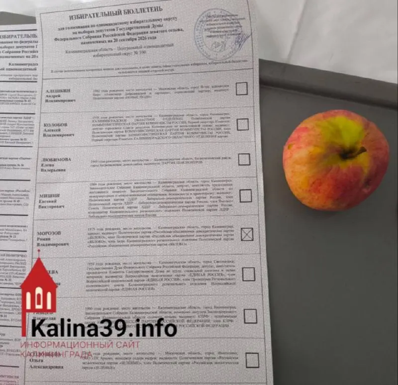 Кандидаты от партии «Яблоко» в Калининграде набрали средний результат 13,65%; при этом списком не дали проголосовать за партию мира.