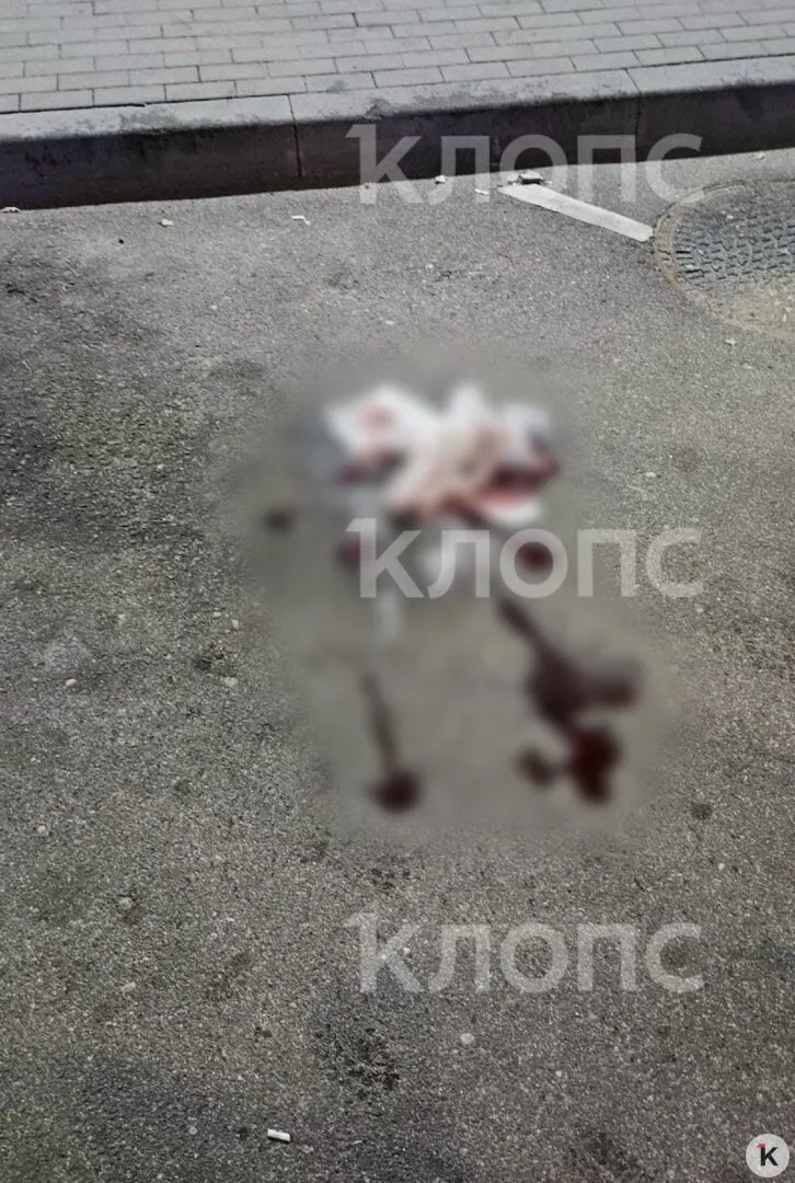 Пострадавшего доставили в областную клиничeскую больницу. По данным правоохранителей, подозреваемый задержан, проводится проверка обстоятельств инцидента.