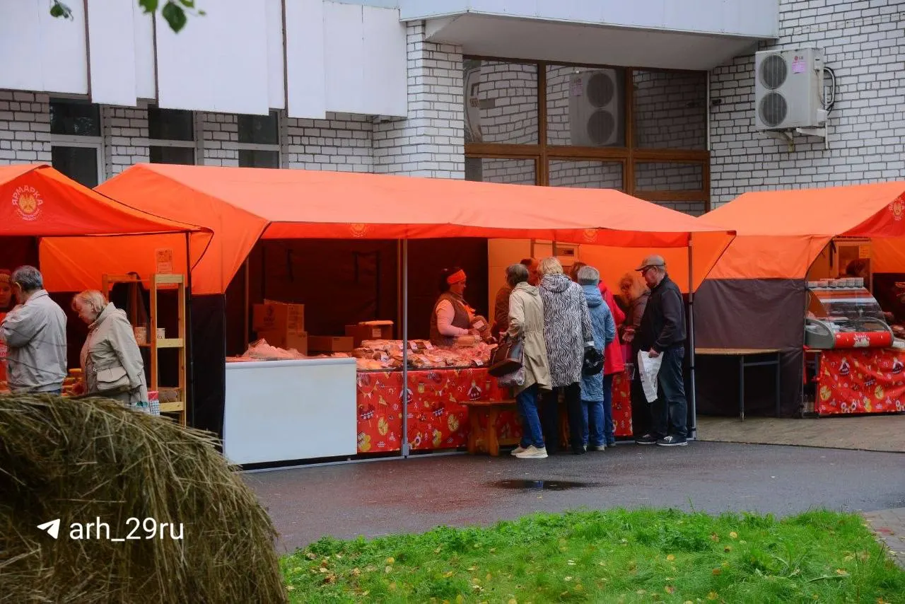 Ярмарка пройдет с 10 по 14 сентября на нескольких площадках Архангельска: Центральный рынок, проспект Чумбарова-Лучинского и другие.
