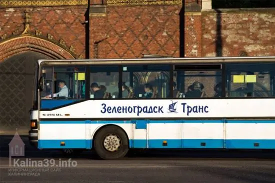 На день голосования в Светлогорском округе организуют три маршрута: новые автобусы будут подвозить жителей к участкам.
