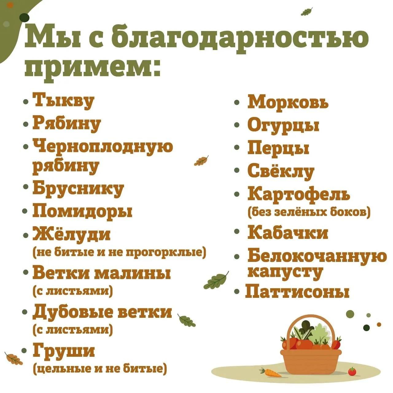Зоопарк просит приносить желуди до 25 сентября; садовники используют их для кормления животных.