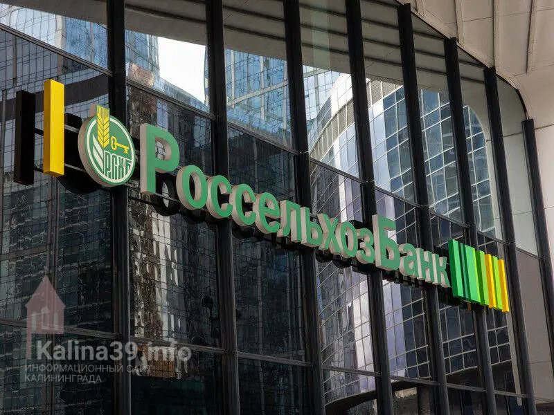 Три калининградские компании получили от Россельхозбанка 2,4 млрд рублей на финансирование проектов, часть средств — по льготной ставке; среди получателей — компании, связанные с депутатом региона.