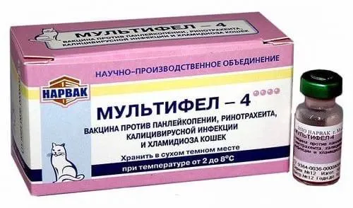 После вакцин против бешенства у котят и собак отмечаются тяжёлые реакции, а общее число погибших животных достигает сотен по стране.