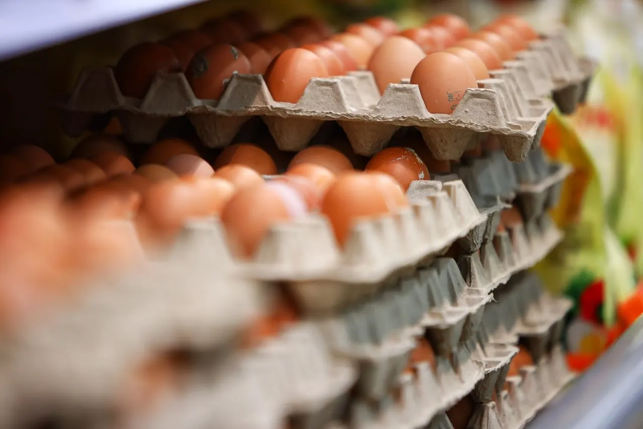 Стоимость основных продуктов питания в регионе в 2025 году выросла почти на 14,4%, доля расходов на питание снизилась до 30,7%. Хлеб и хлебобулочные изделия потреблялись меньше, а овощи, бахчевые, рыба и яйца — чаще.