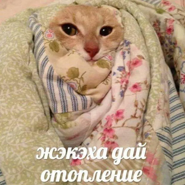 В регионе начинается отопительный сезон: в Петрозаводске действует переходный режим, школы и больницы уже подключаются, остальные котельные запустят позже.