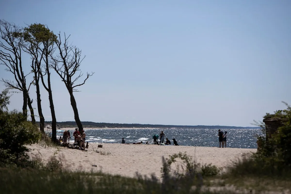 Температура на побережье сохраняется на отметке +17°C, далее по региону отмечаются значения до +24°C на курортных направлениях Северо-Западного федерального округа.