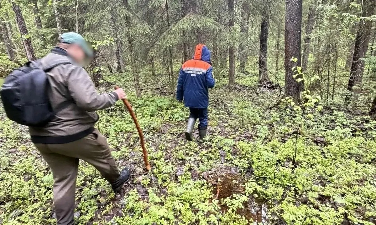 Пропавший турист из Ростовской области найден в лесу под Петрозаводском; медицинская помощь не потребовалась.