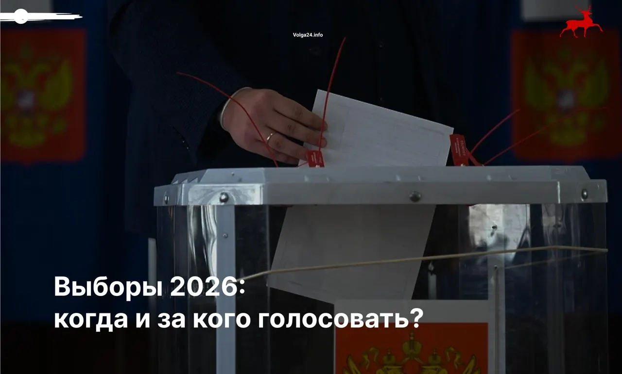 Рекомендации к выборам: как голосовать очно, что учитывать на участках и как сообщать о нарушениях.