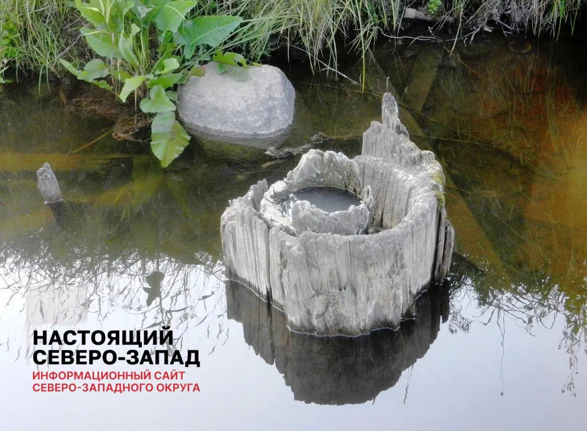 Археологи в Тотьме нашли деревянную трубу, датируемую 1506–1507 годами, возраст которой превышает 500 лет.