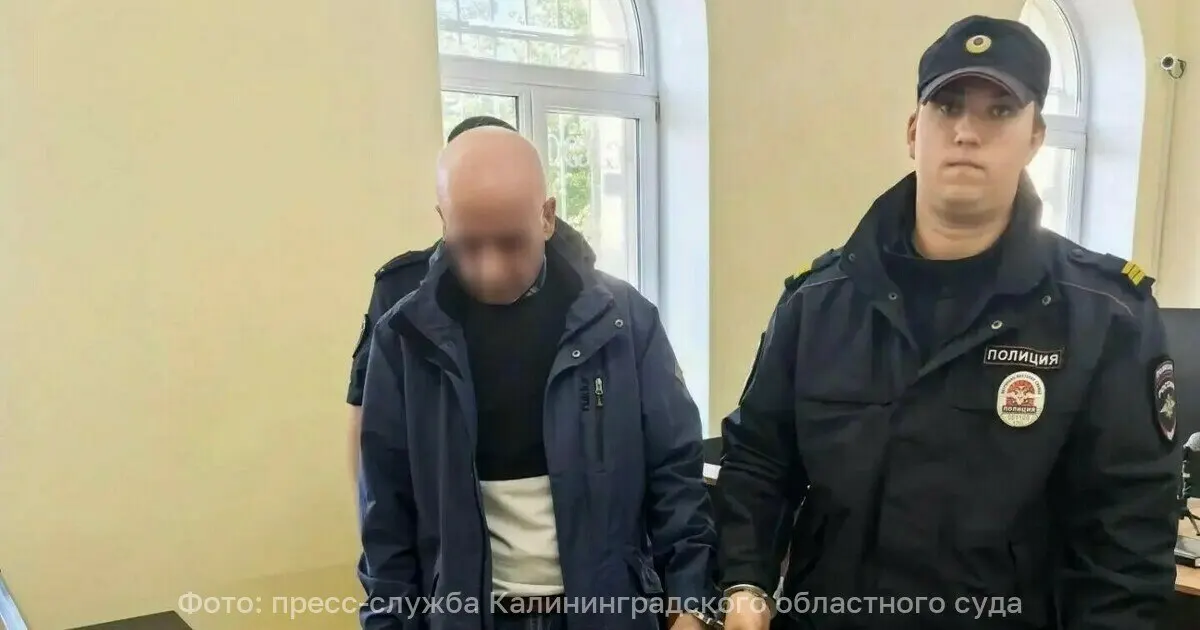 Двое жителей Калининграда организовали выдачу липовых морских документов; преступление принесло около 400 тысяч рублей и привело к реальным срокам заключения.
