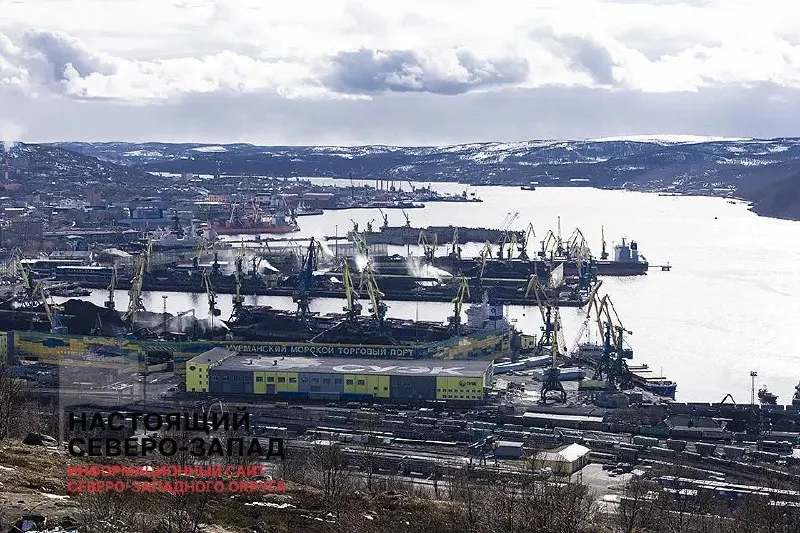 За первое полугодие 2026 года 46,3% мурманских предприятий оказались убыточными, особенно в строительстве и энергетике.