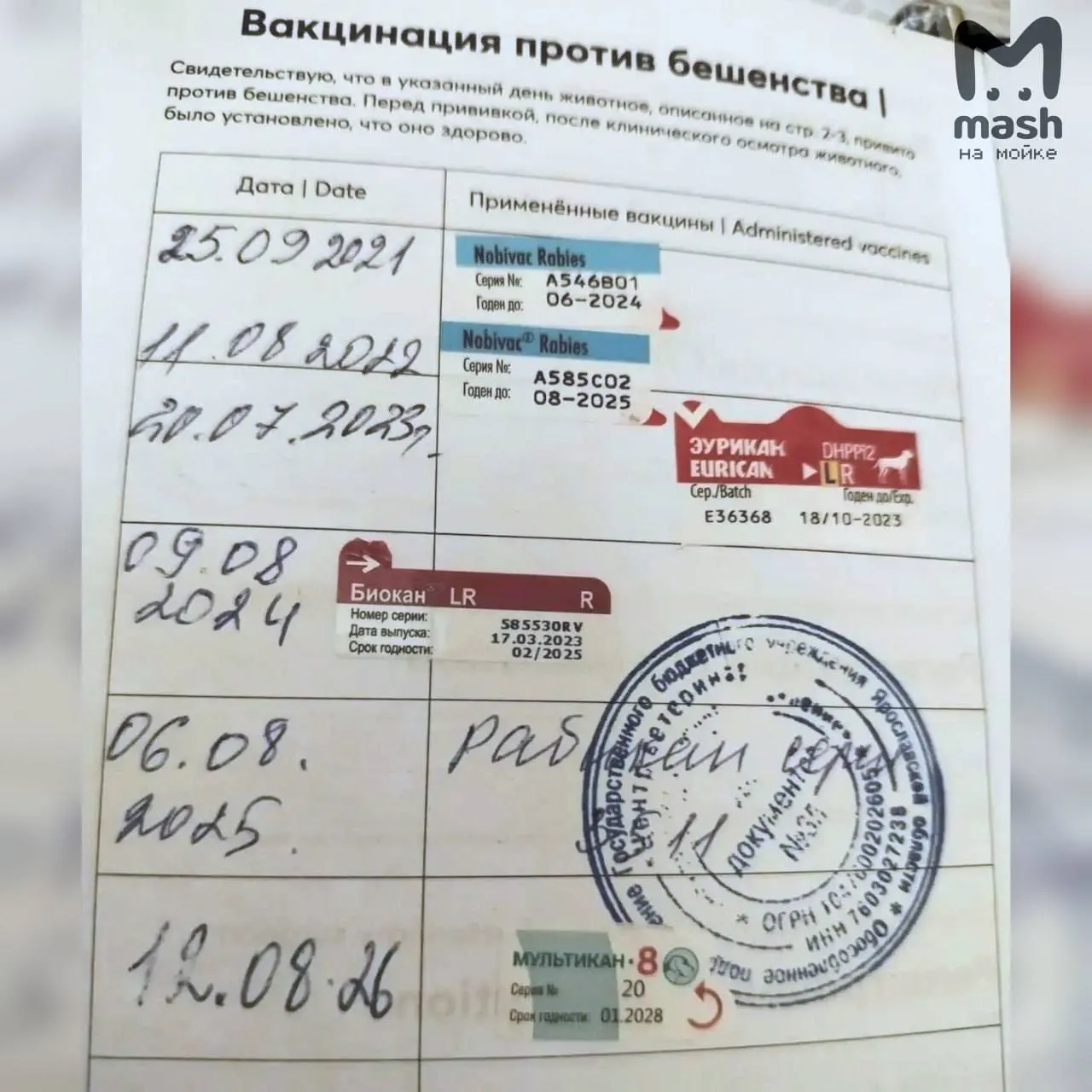 После прививки комплексной вакциной Мультикан-8 в регионе зафиксированы смерти животных; начаты проверки и меры ведомств.
