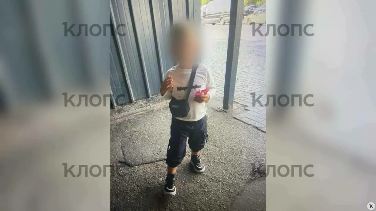 Четырёхлетний мальчик погиб после падения в заброшенный колодец во дворе частного дома в Черняховском районе Калининградской области. Поисковые мероприятия завершились трагически.
